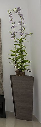Cachepot - Par